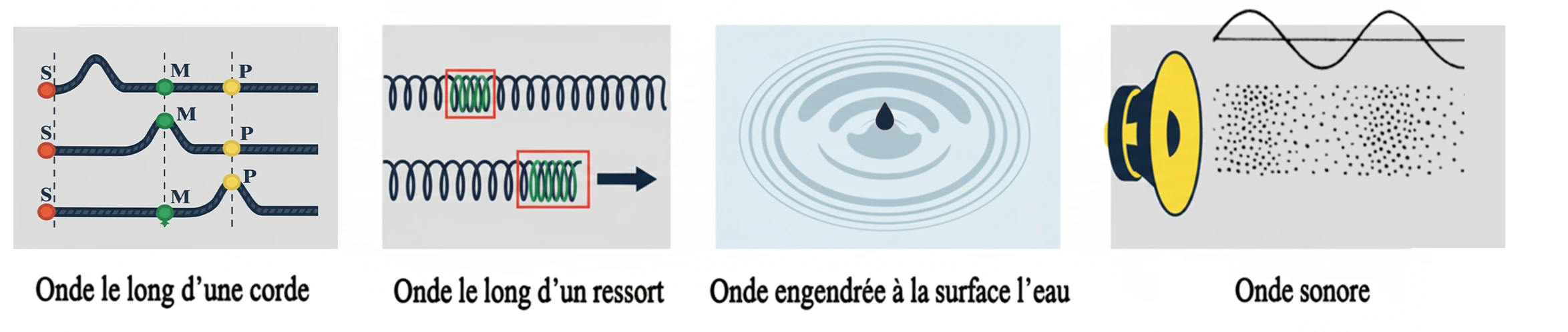 Les Ondes mécaniques progressives